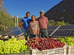 riego solar conectado red