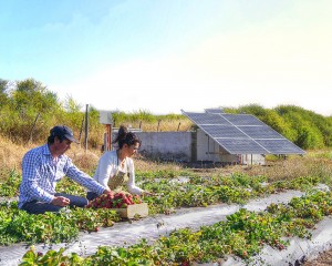 agricola riego eficiencia energetica chile valparaiso