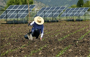 riego eficiente fotovoltaico