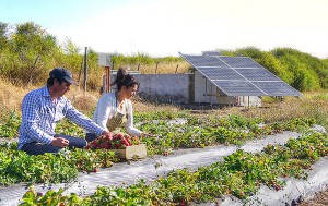 Empresa, sostenibilidad, energía, solar, fotovoltaica, térmica, eólica, geotérmica